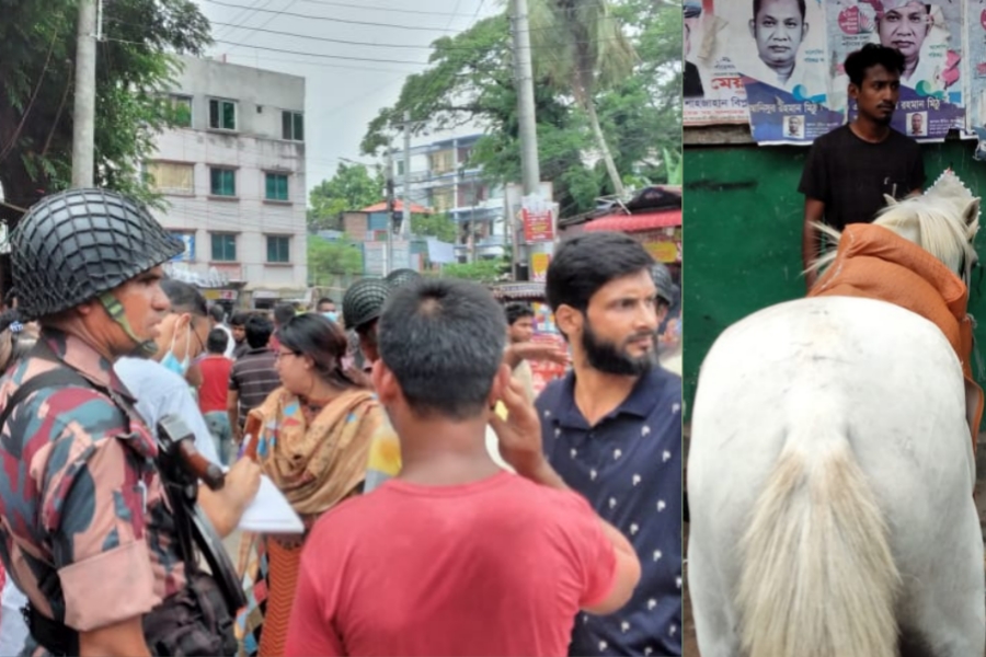 জীবন্ত ঘোড়া নিয়ে প্রচারণা, মেয়র প্রার্থী কায়সারকে ৫০ হাজার টাকা জরিমানা