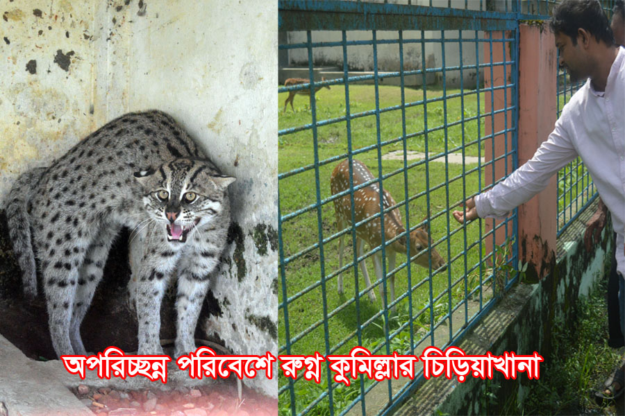 অপরিচ্ছন্ন পরিবেশে রুগ্ন কুমিল্লার চিড়িয়াখানা