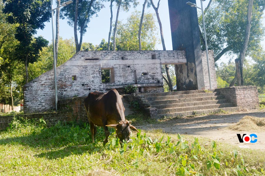 অরক্ষিত রসূলপুর বধ্যভূমি যেন গোচারণ ভূমি!