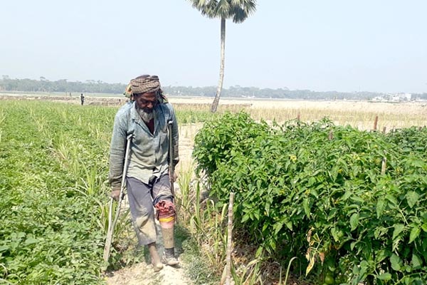 পঙ্গুত্ব জয় করে স্বাবলম্বী কৃষক বিল্লাল, পাশে দাঁড়ালেন প্রশাসন
