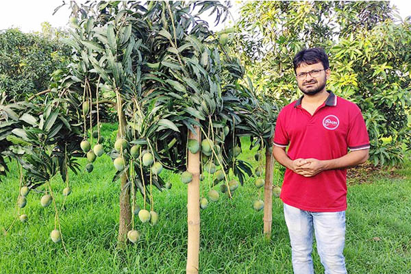 লাখ টাকার চাকরি ছেড়ে আমবাগানে কোটিপতি