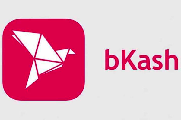 মুরাদনগরে বিকাশ এজেন্টের ১২ লাখ টাকাসহ ৮ মোবাইল ছিনতাই