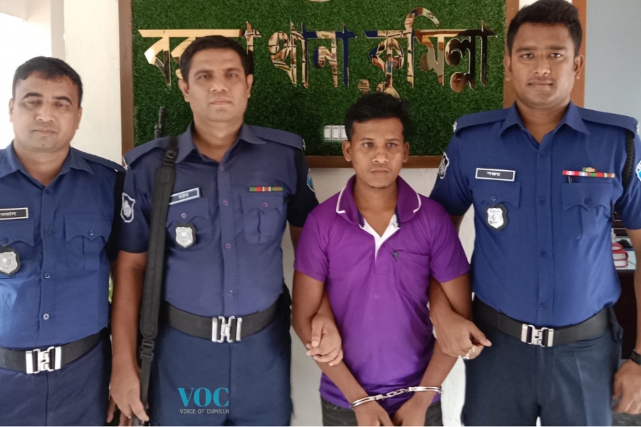 চাচার সঙ্গে প্রবাসে ঝগড়া, দেশে ফিরে ভাইকে খুন করে আল-আমিন 