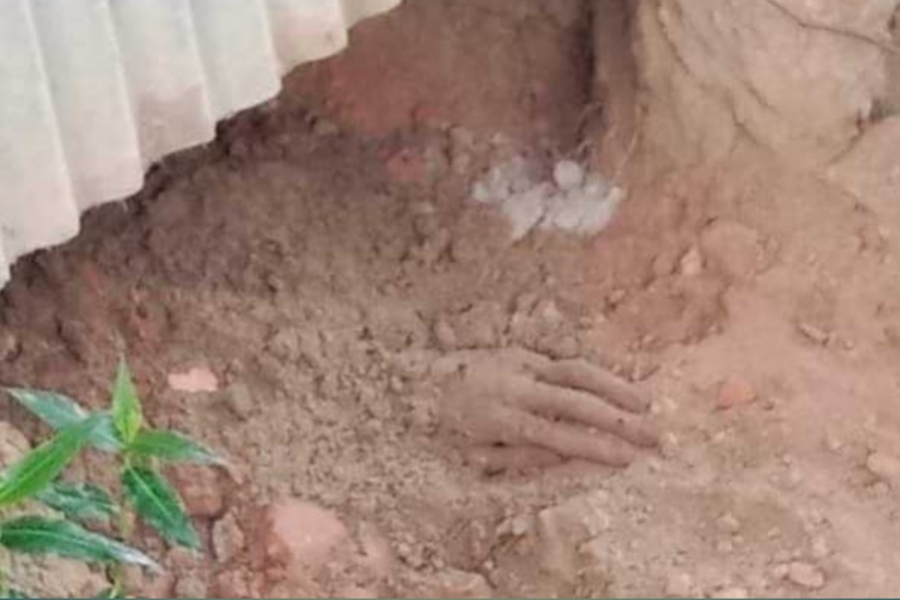 কুমিল্লার দেবীদ্বার : দুর্গন্ধের উৎপত্তি খোঁজতে গ...