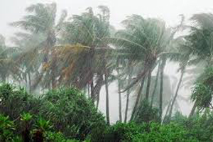 কুমিল্লায় ৪ নম্বর হুশিয়ারী সংকেত, অব্যাহত ঝড়ো বাতাসে বৃষ্টি!