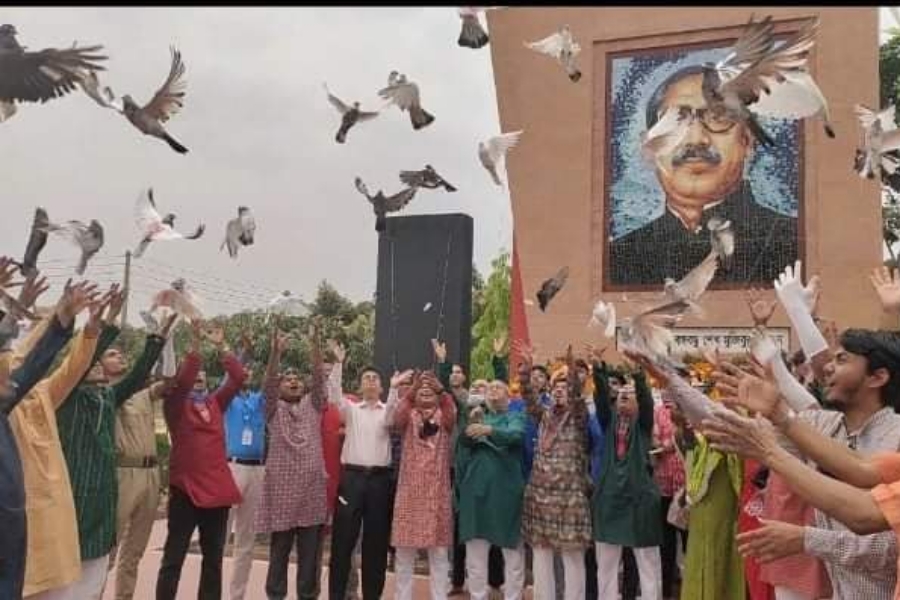 স্বাধীনতার স্বাদ গ্রহণ করলো একশো পায়রা